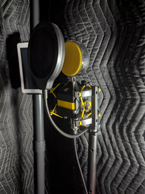 NEAT WORKER BEE XLR